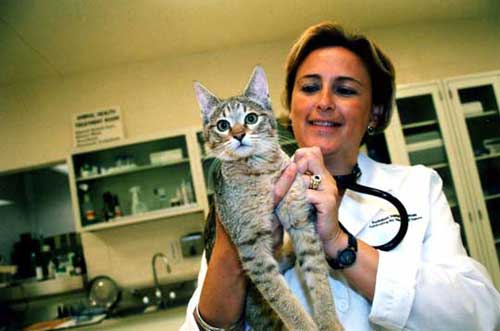 Martha Cecilia Gómez y el primer gato salvaje clonado.  Colarte